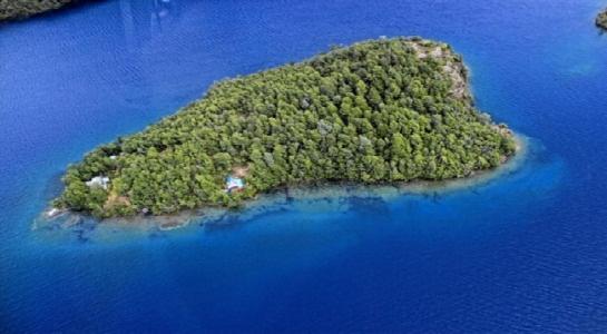 Isla Privada, Bandurrias